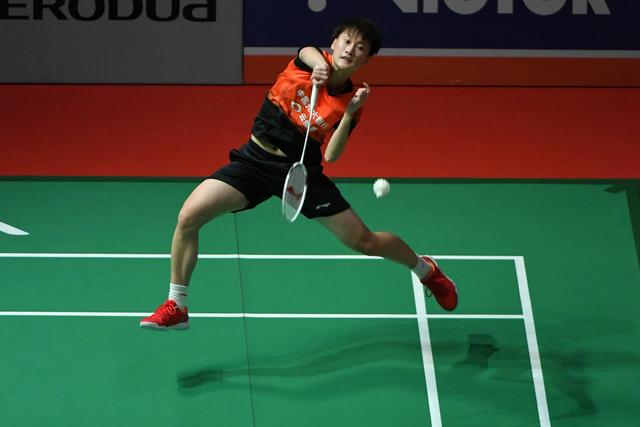 已是联盟顶 已是联盟顶