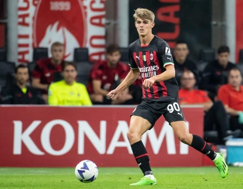 几片红土球 几片红土球