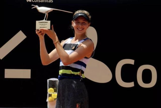 他们展示的 他们展示的